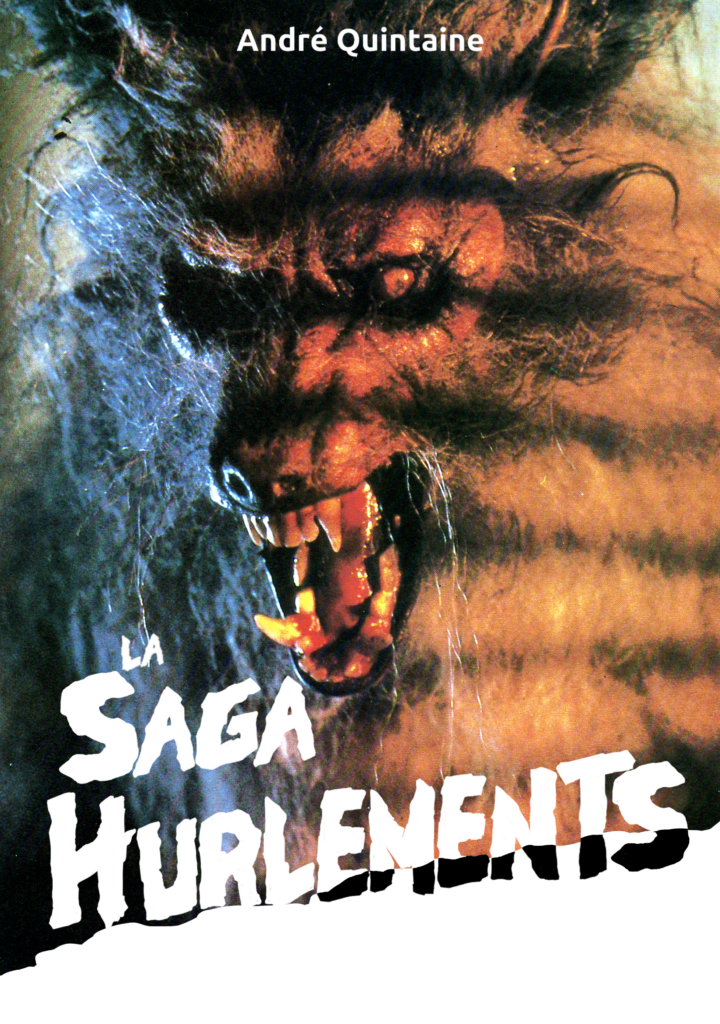 projets personnels couverture saga