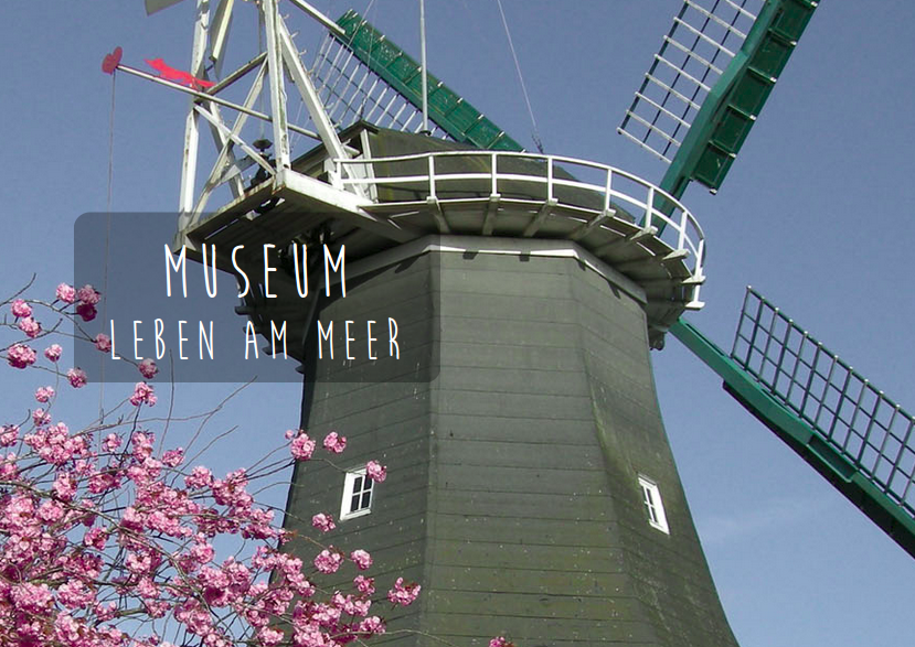 Musée Leben am Meer